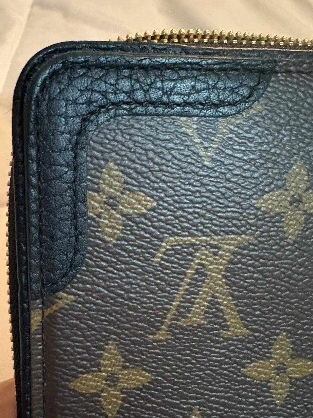 Louis Vuitton Monogram Macassar Daily Organizer